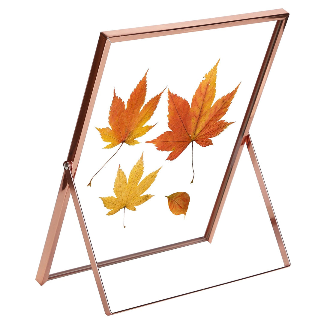 2Pcs Standing Rose Gold Metal Picture Frames 5x7IN 8x10IN Vertical Tabletop Floating Photo Frame Double-Glazed Glass Pressed Flower Frame for Home Dec
