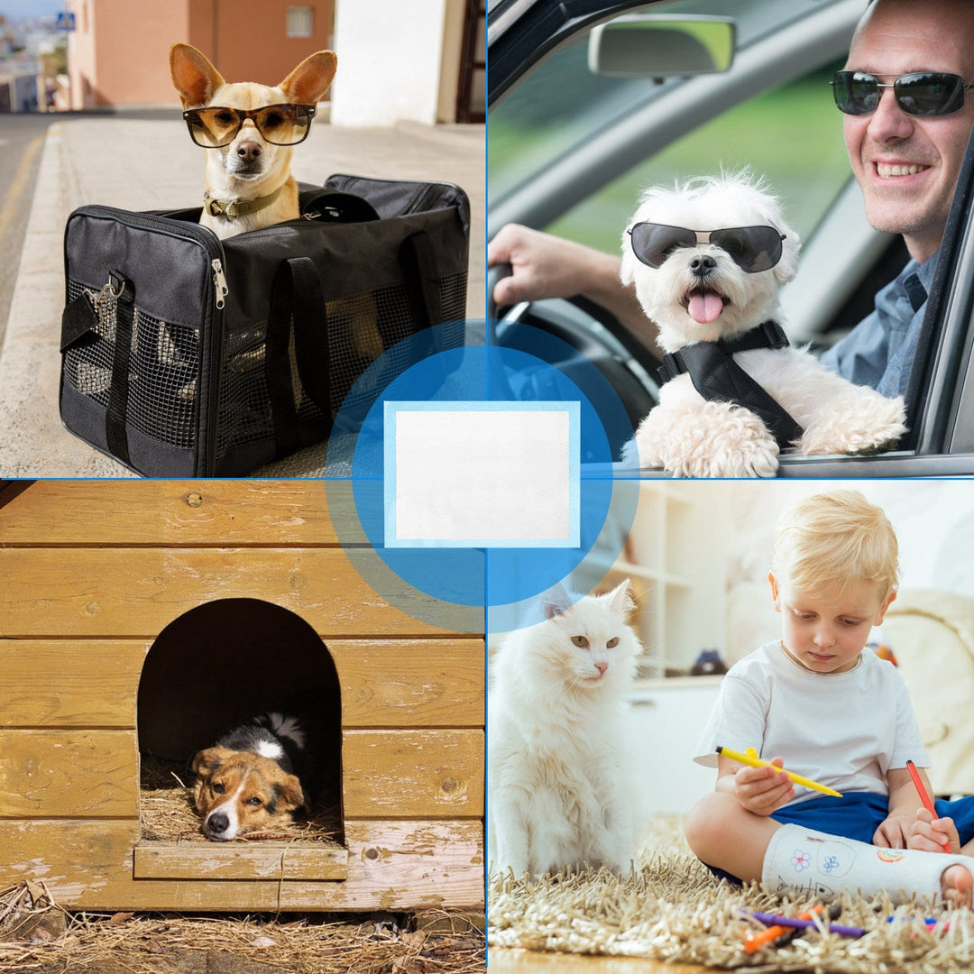 50Pcs/Set Dog Training Pads Puppy Pee Pads Cat Wee Mats Potty-Train 24ÕÕ*18ÕÕ M