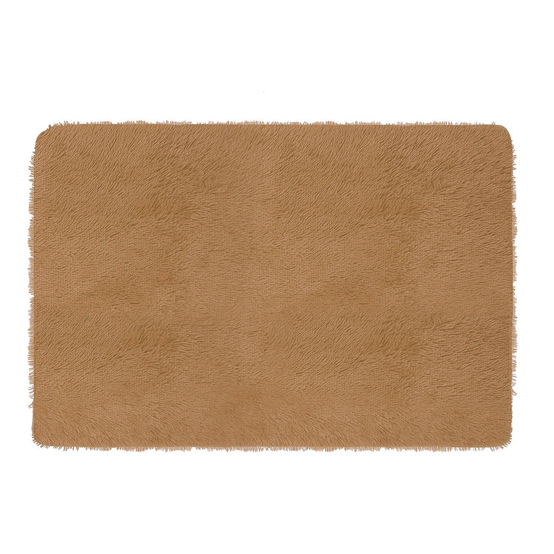 Fluffy Bedroom Rug 4Õ x 2.6Õ Anti-Skid Shaggy Area Rug Decorative Floor Carpet Mat for Nursery Bedroom Living Room