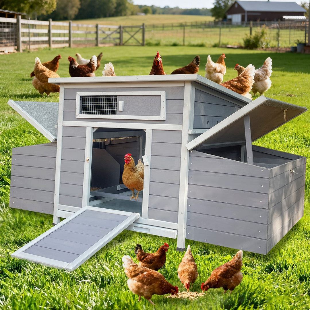 Wooden Chicken Coop for 3-6 Chickens with 6 Nesting Boxes