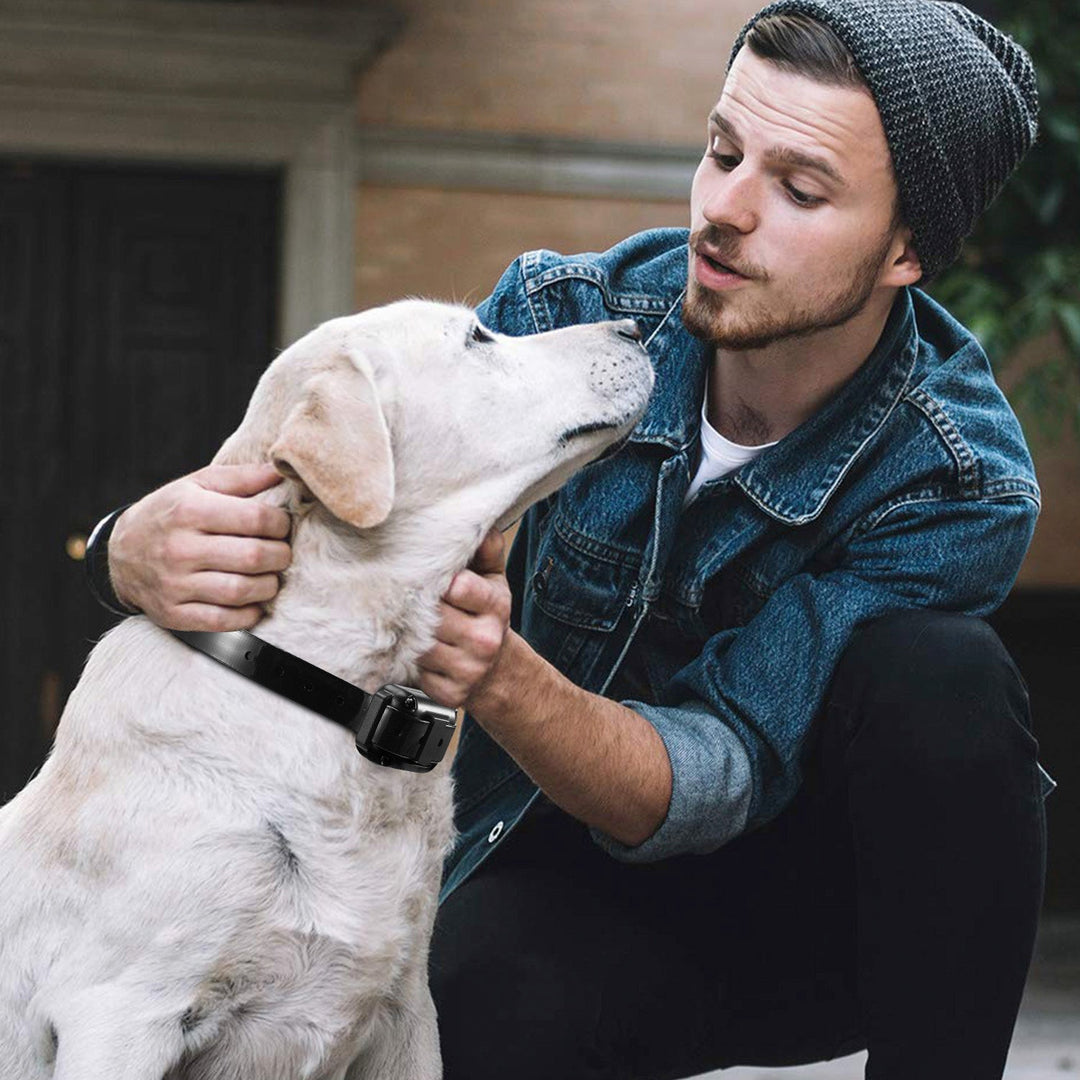 Dog Training Collar Receiver IP67 Waterproof Dog Bark Shock Collar Accessories Adjustable Belt Rechargeable Without Remote Controller