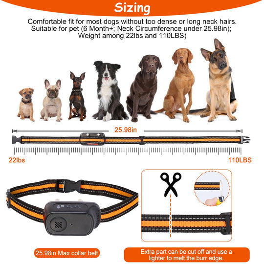 GBruno 984FT Dog Training Collar