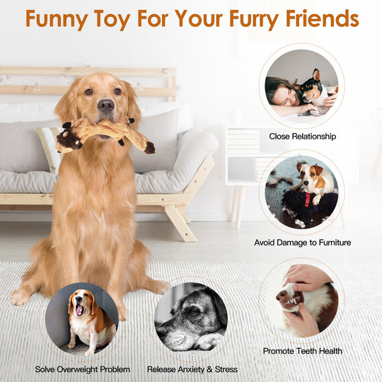 GBruno Interactive Dog Toys