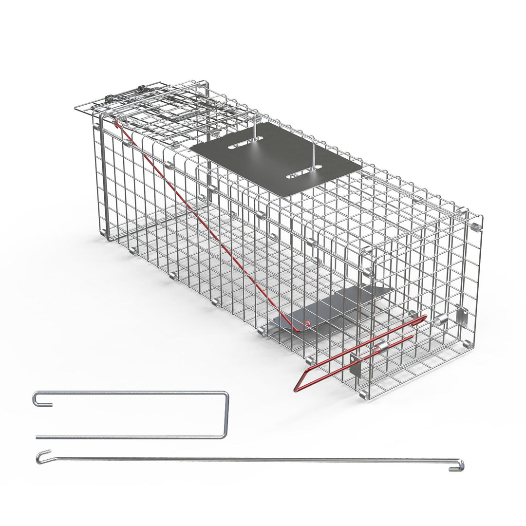 Humane Cat Trap Cage Catch Release Live Animal Rodent Cage Collapsible Galvanized Wire for Small Raccoons Beavers Groundhogs Foxes Armadillos