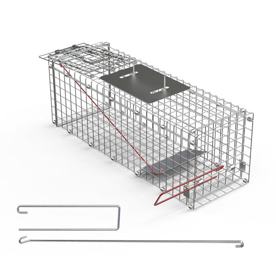 Humane Cat Trap Cage Catch Release Live Animal Rodent Cage Collapsible Galvanized Wire for Small Raccoons Beavers Groundhogs Foxes Armadillos