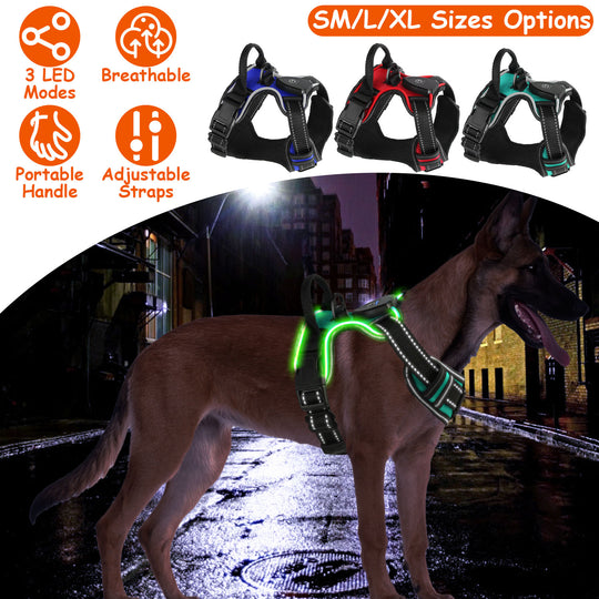 GBruno Light Up Dog Harness