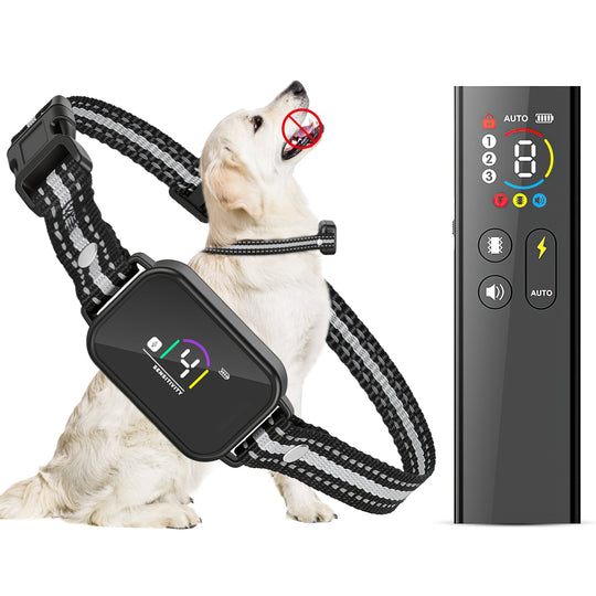 Dog Training Collar with Remote and Bark Control for Small Dogs