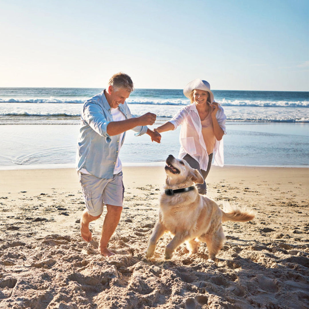 Dog Training Collar Receiver IP67 Waterproof Dog Bark Shock Collar Accessories Adjustable Belt Rechargeable Without Remote Controller