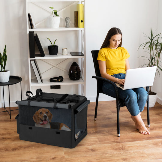 Portable Foldable Pet Carrying Bag with 2 Openings and Comfy Cushion-S