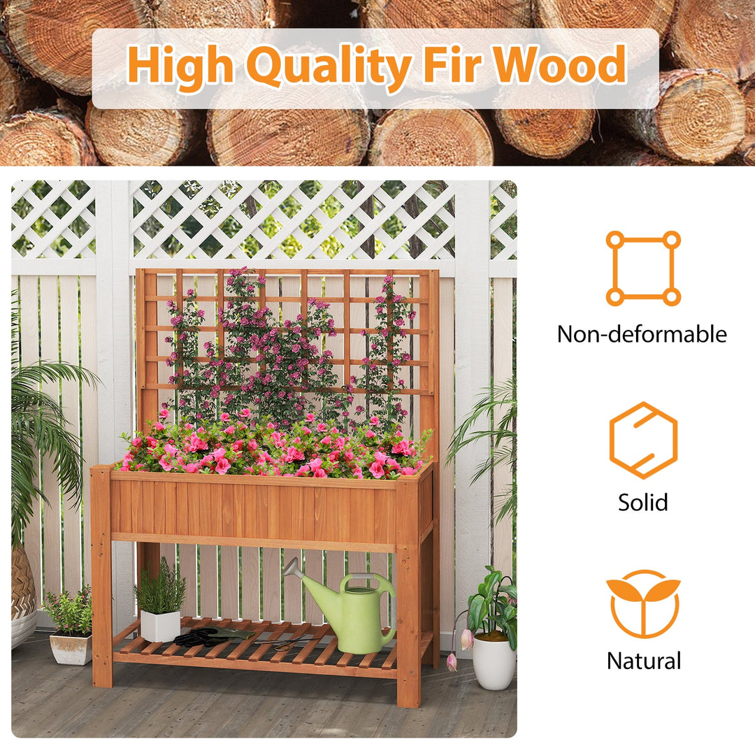 Raised Garden Bed with Trellis Wooden Elevated Planter Box with Legs