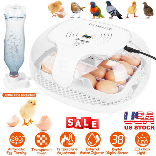 GBruno 16 Eggs Incubator for Hatching