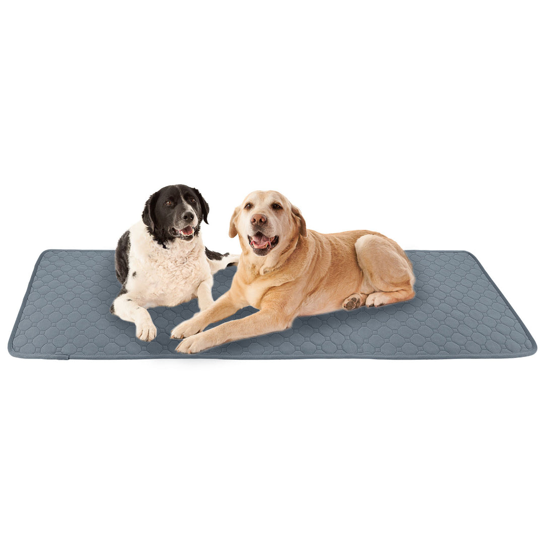 GBruno Washable Dog Pee Pad