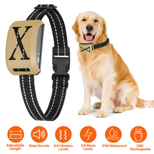 GBruno Electric Dog Collar Receiver