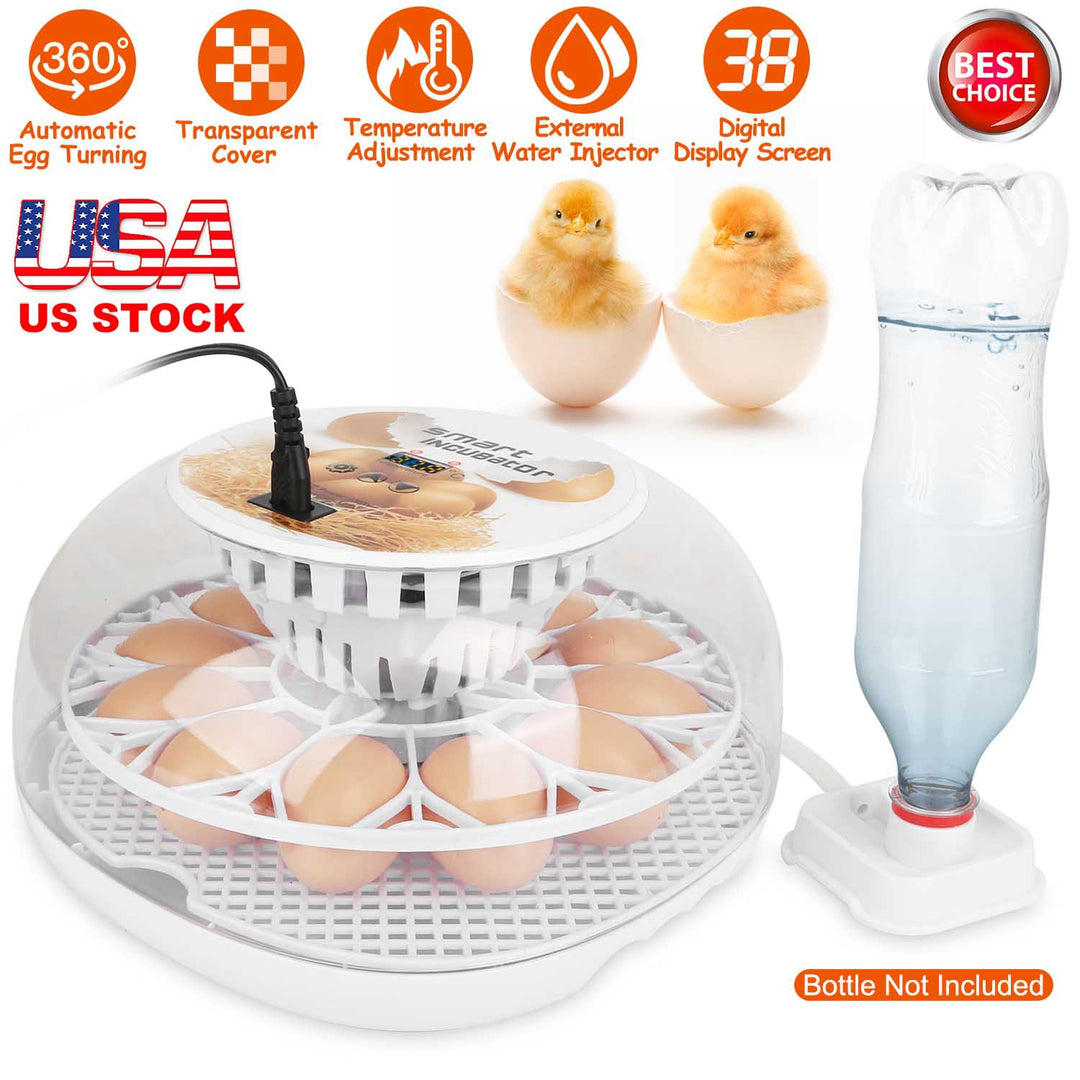 GBruno 12 Eggs Incubator for Hatching