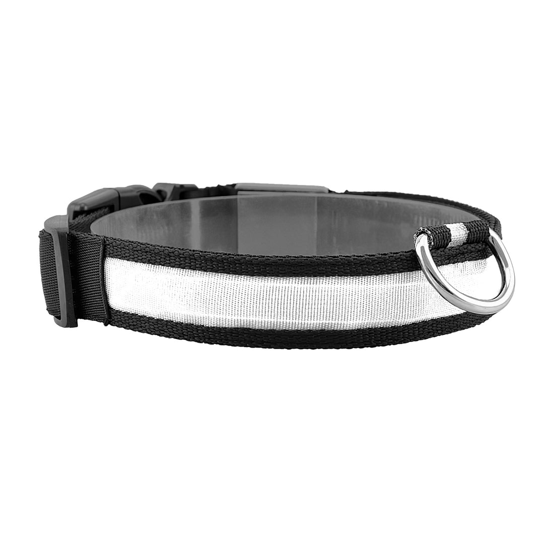 GBruno LED Dog Collar USB