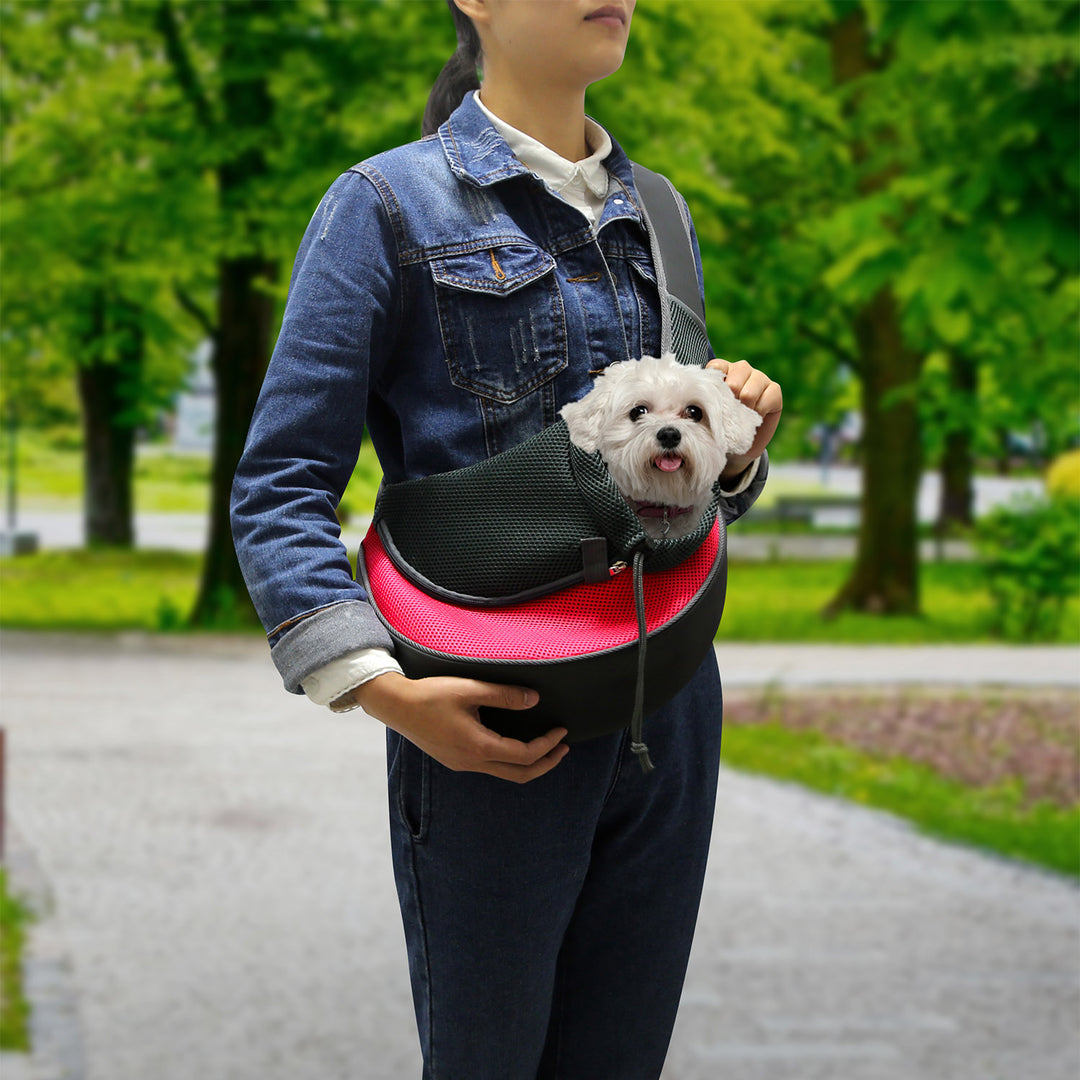 GBruno Pet Carrier for Dogs Cats