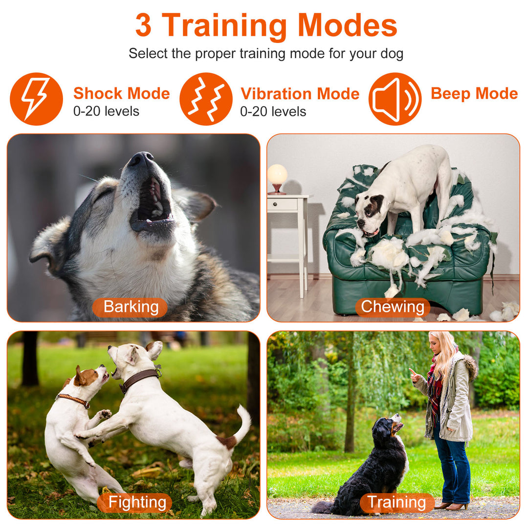 GBruno Electric Remote Training Collar