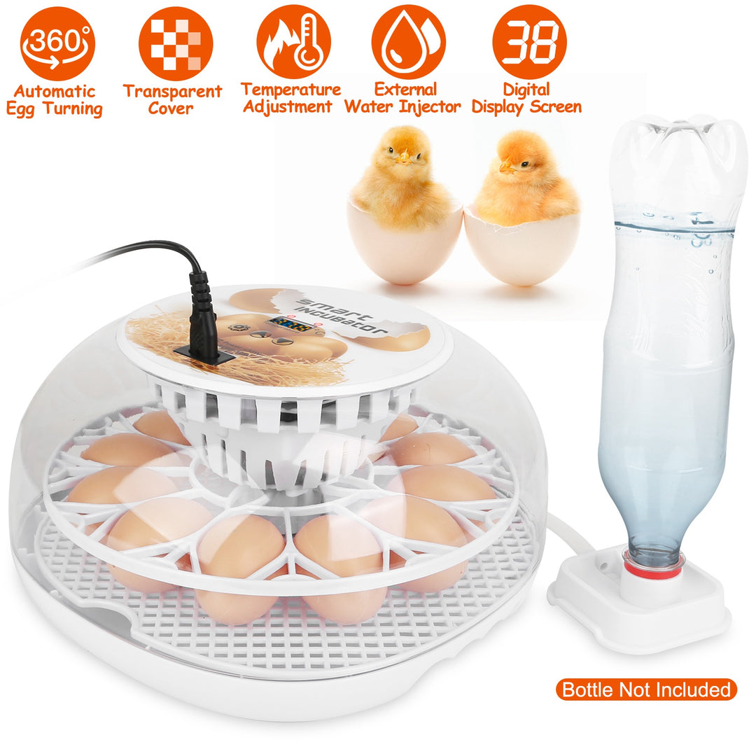 GBruno 12 Eggs Incubator for Hatching