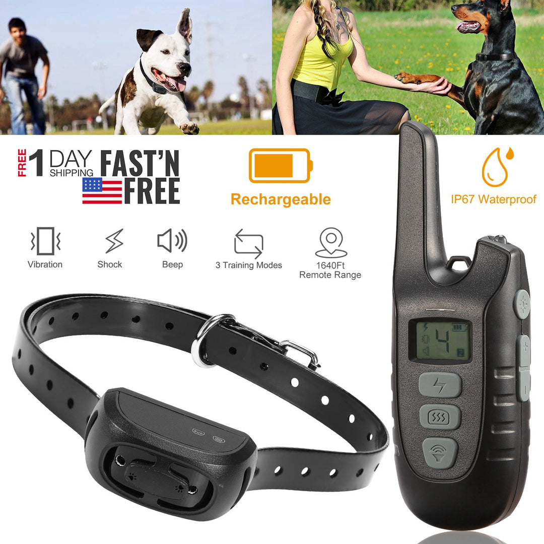 GBruno Dog Training Collar