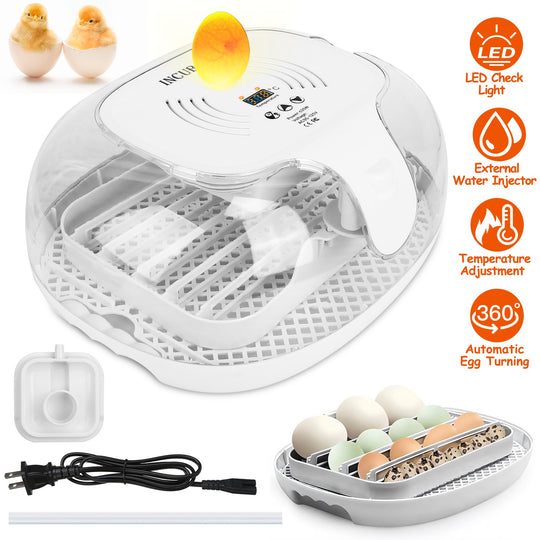 GBruno 16 Eggs Incubator for Hatching