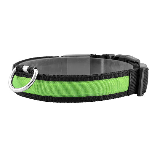 GBruno LED Dog Collar USB