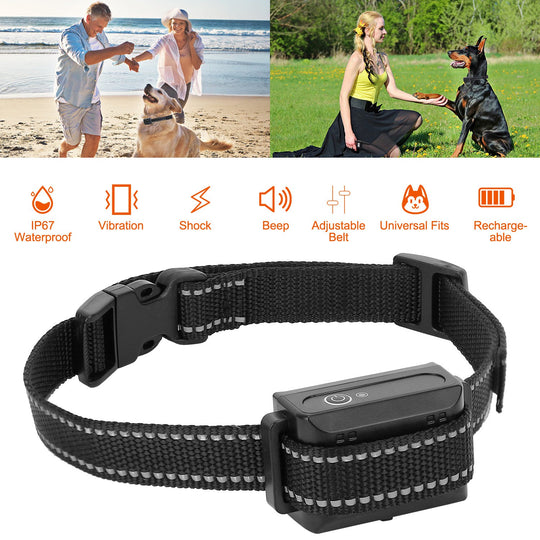 GBruno Dog Training Collar Receiver