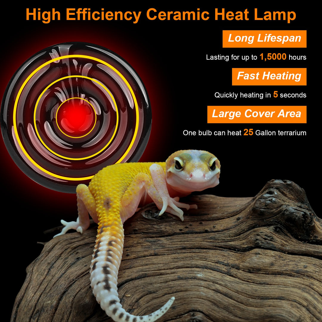 GBruno 2Pcs Ceramic Heat Lamp