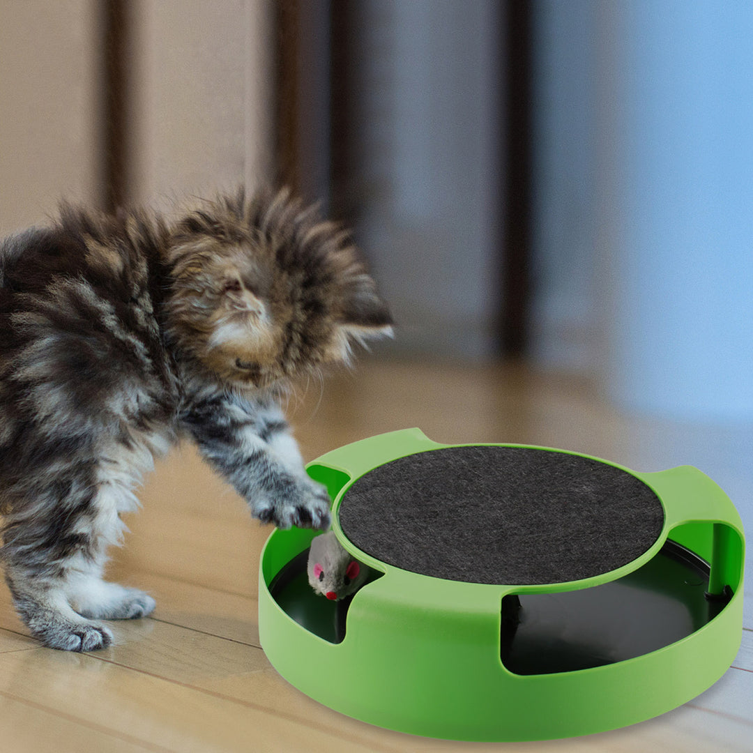 GBruno Cat Interactive Scratching Toy