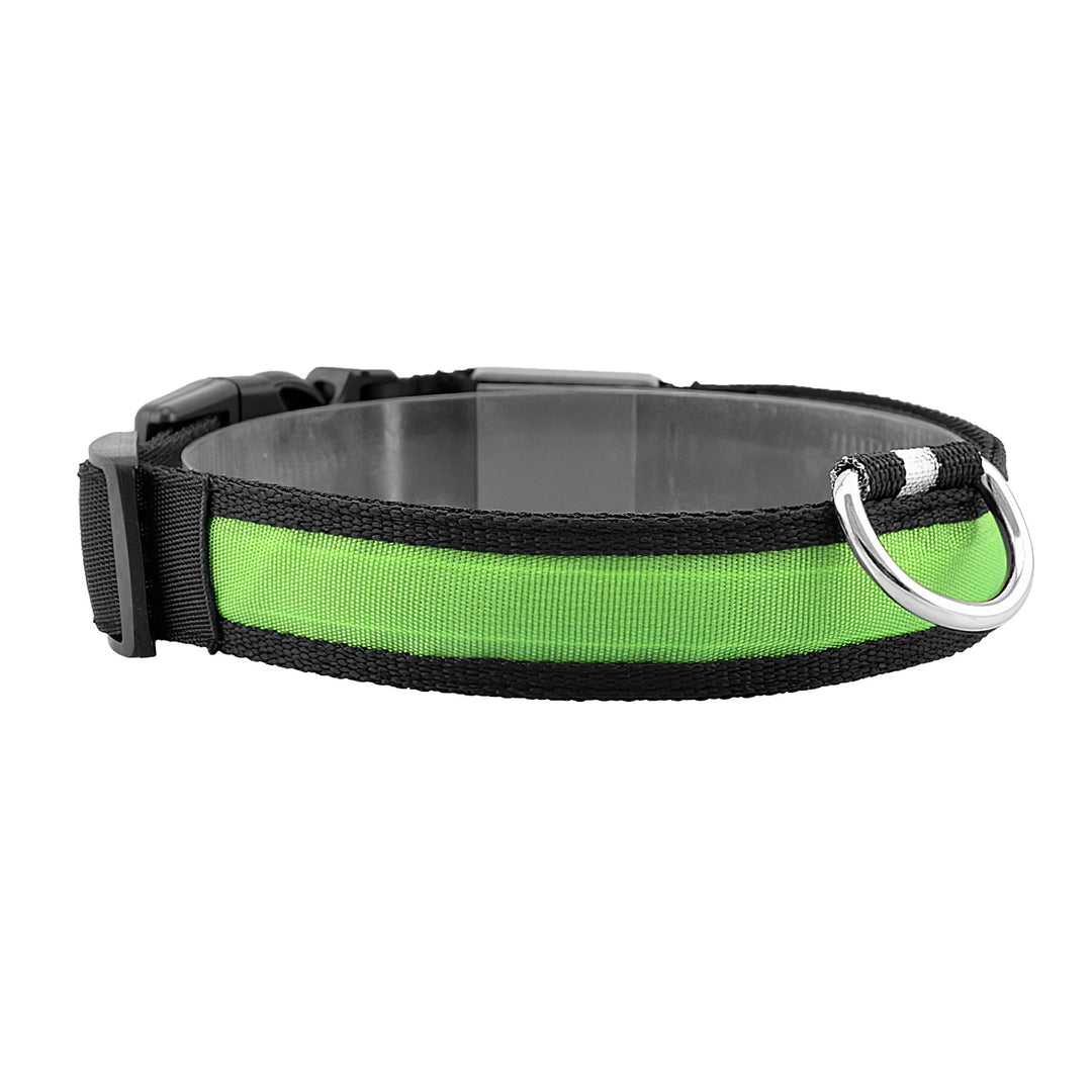 GBruno LED Dog Collar USB