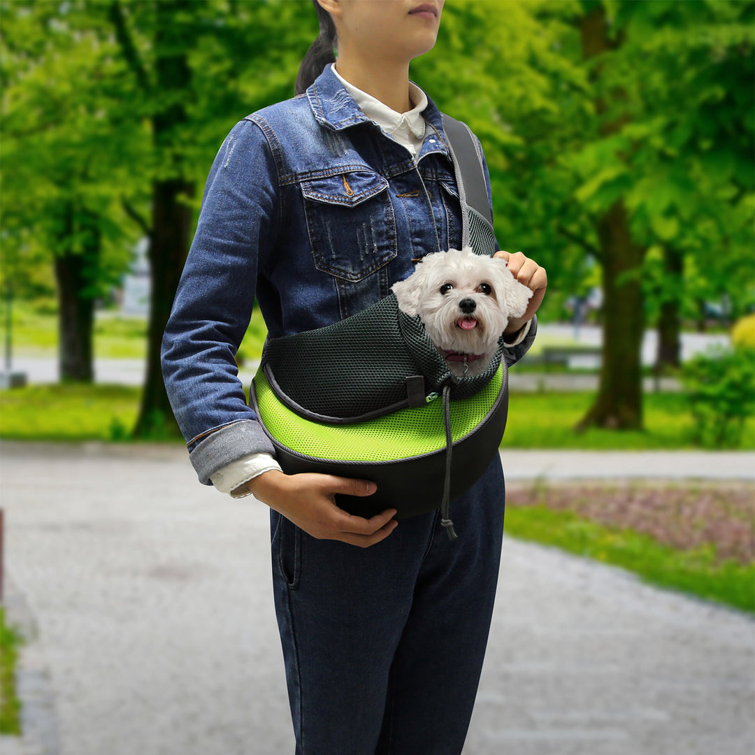 GBruno Pet Carrier for Dogs Cats