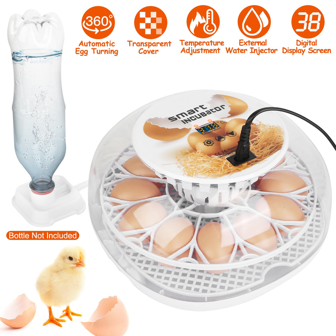 GBruno 12 Eggs Incubator for Hatching