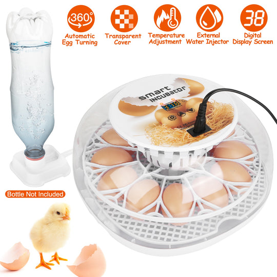 GBruno 12 Eggs Incubator for Hatching