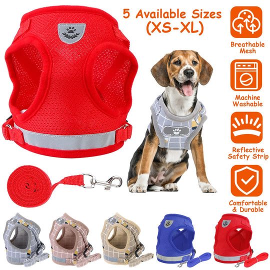 GBruno Pet Mesh Harness Dog