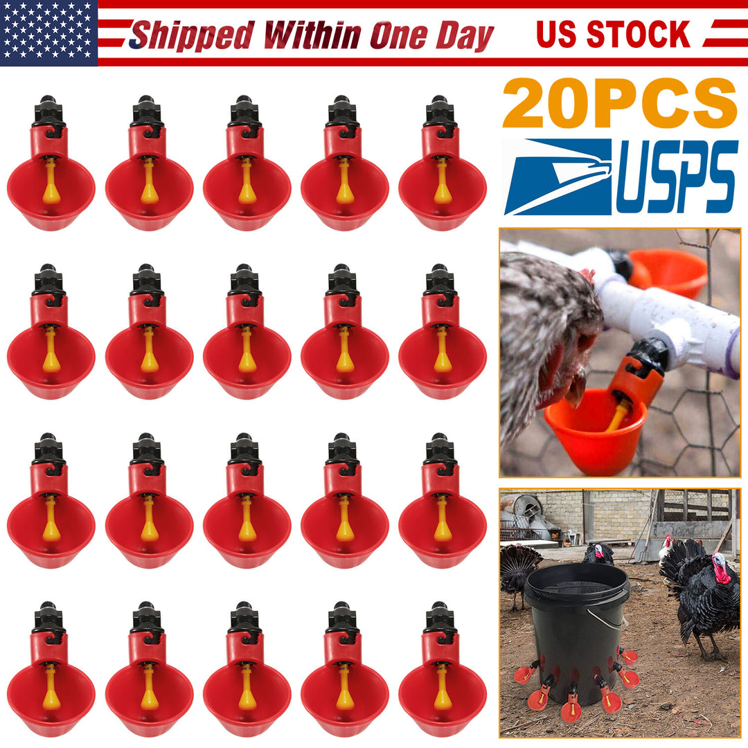 GBruno 20 Pack Chicken Waterer