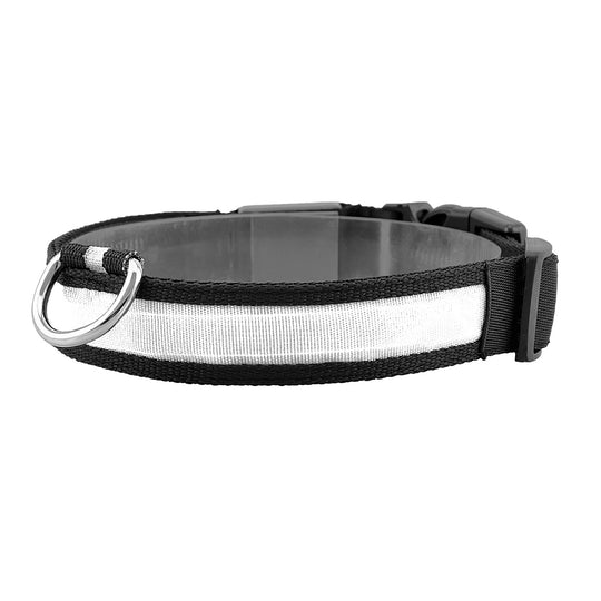 GBruno LED Dog Collar USB