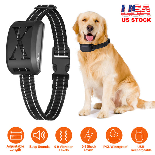 GBruno Electric Dog Collar Receiver