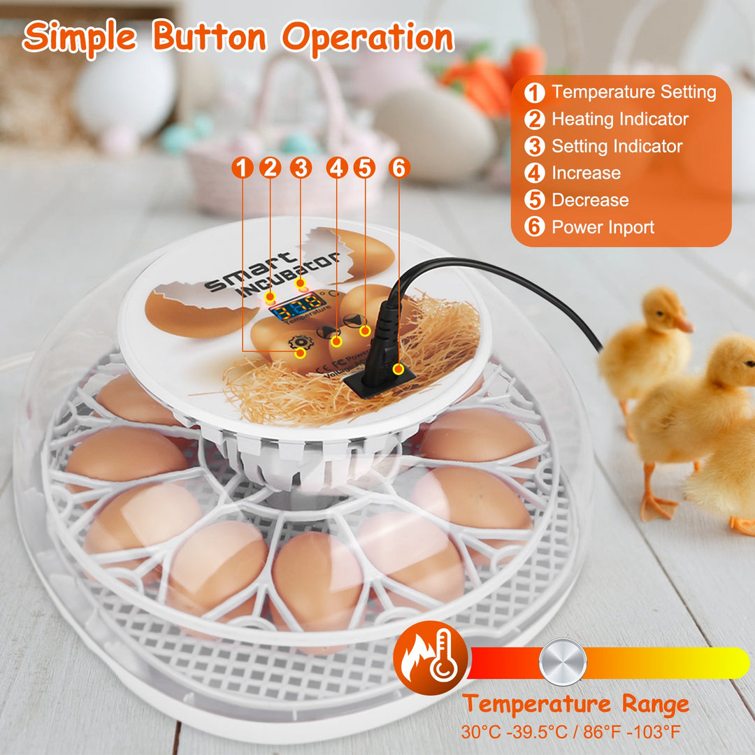 GBruno 12 Eggs Incubator for Hatching