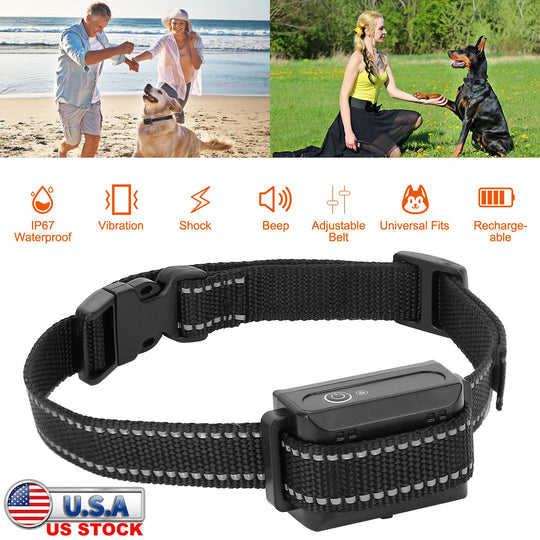 GBruno Dog Training Collar Receiver