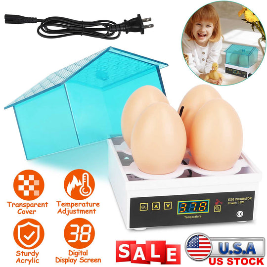 GBruno 4 Eggs Incubator