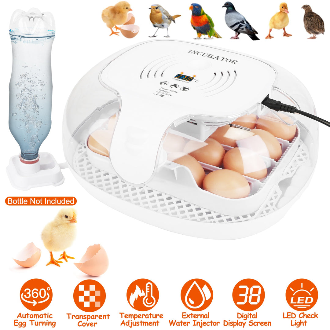 GBruno 16 Eggs Incubator for Hatching