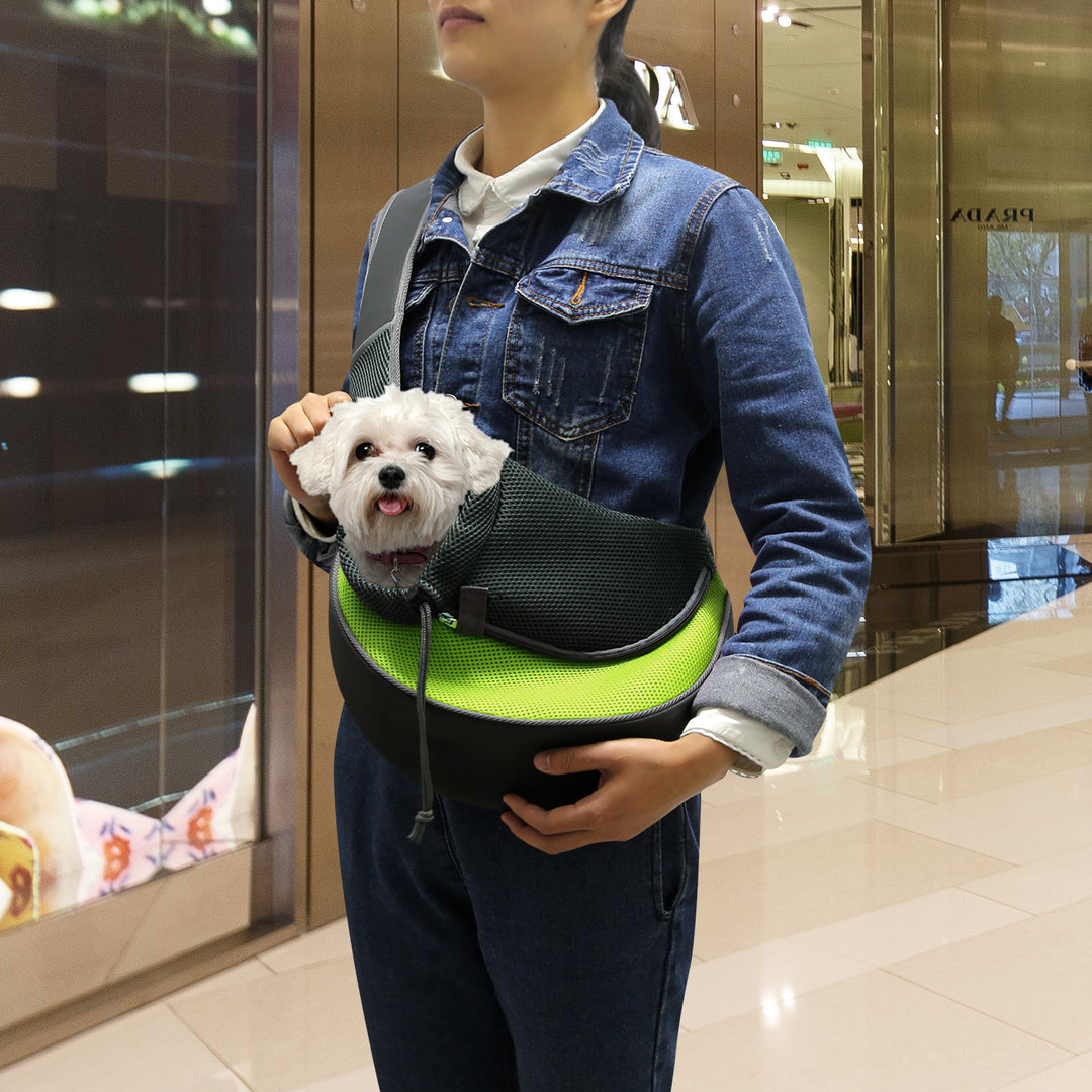 GBruno Pet Carrier for Dogs Cats