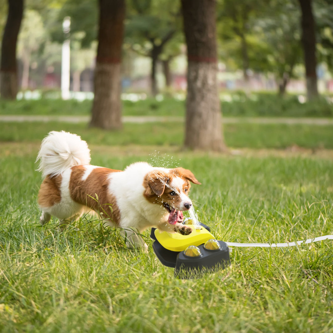 GBruno Dog Water Fountain