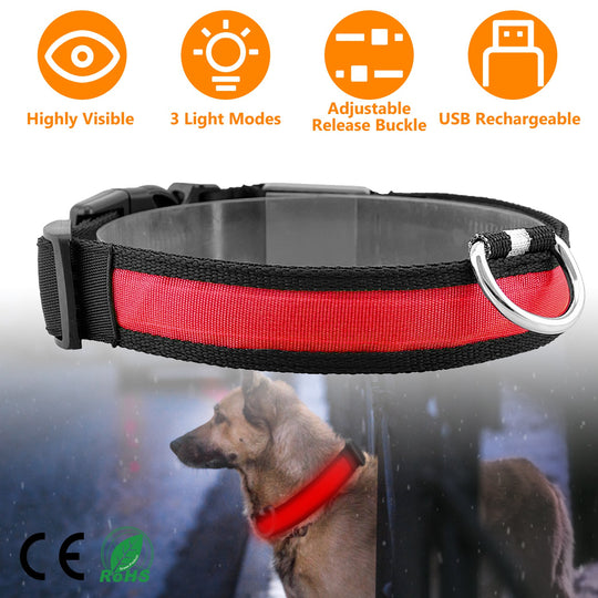 GBruno LED Dog Collar USB