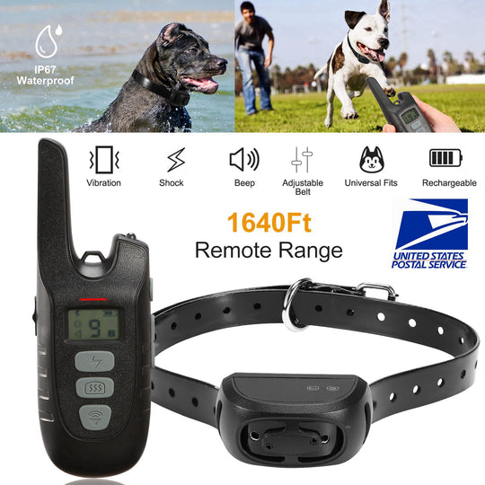 GBruno Dog Training Collar