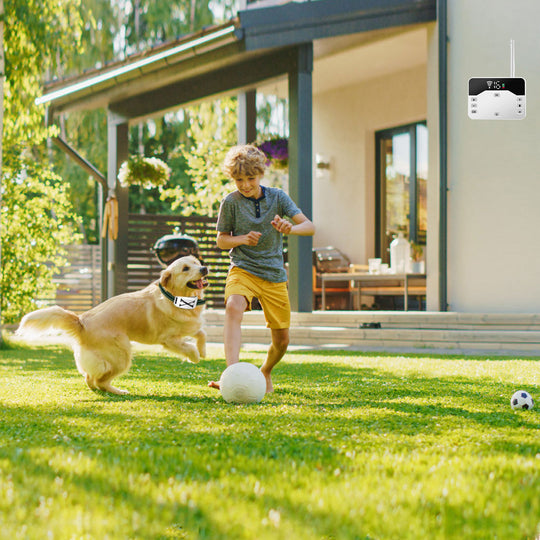 GBruno 2 In 1 Wireless Electric Dog Fence