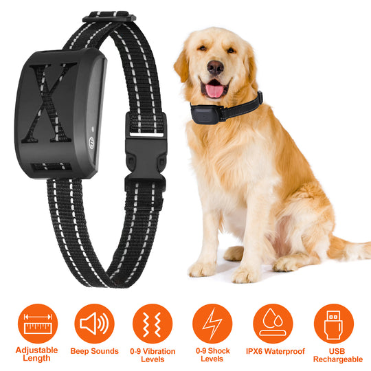 GBruno Electric Dog Collar Receiver