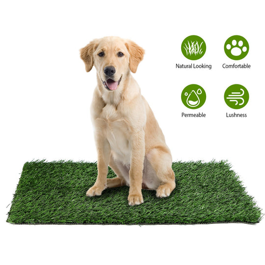 GBruno 23.23x18.12” Replacement Grass Mat